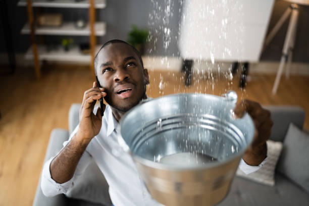 Best Sewage cleanup and water damage restoration  in Peach Springs, AZ