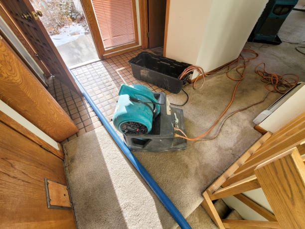 Best Flood damage cleanup  in Peach Springs, AZ