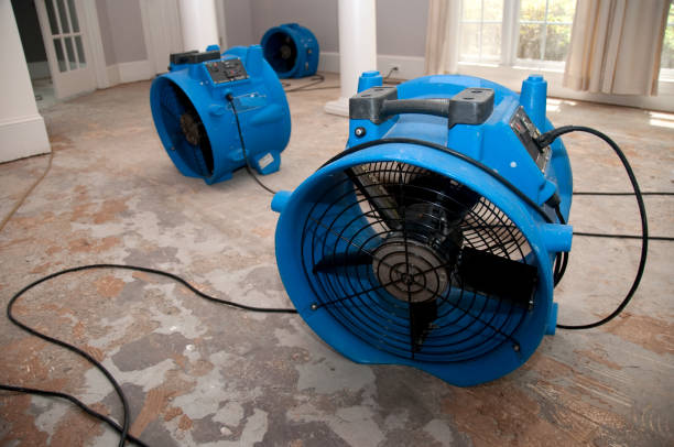 Best Professional water damage repair  in Peach Springs, AZ