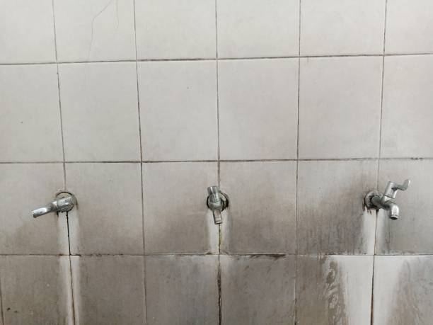 Best Residential water damage restoration  in Peach Springs, AZ