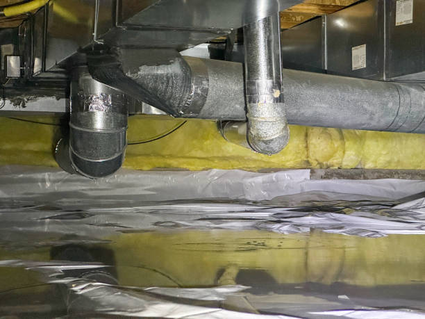 Best Carpet water damage restoration  in Peach Springs, AZ