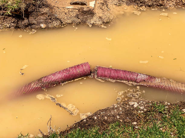 Best Water damage restoration specialists  in Peach Springs, AZ