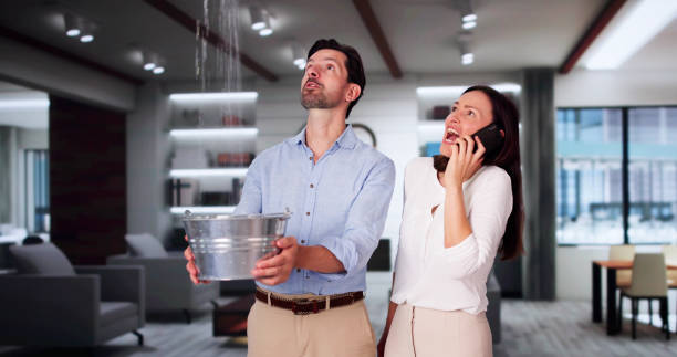 Best Water damage cleanup near me  in Peach Springs, AZ
