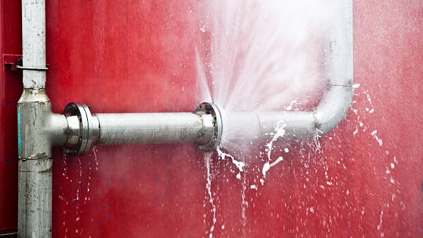 Best 24-hour water damage restoration  in Peach Springs, AZ